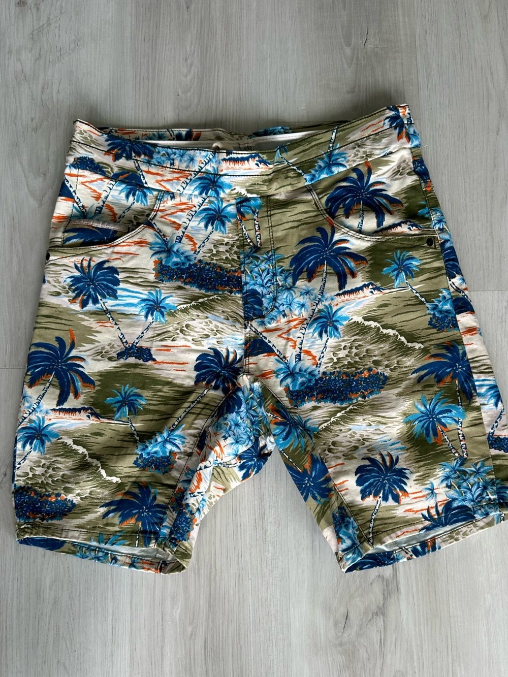 PULLIN Men's Swim Shorts